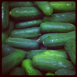 pickles